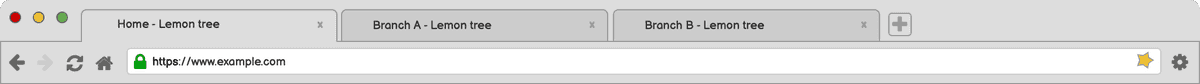 2-page-title-tab-no-favicon